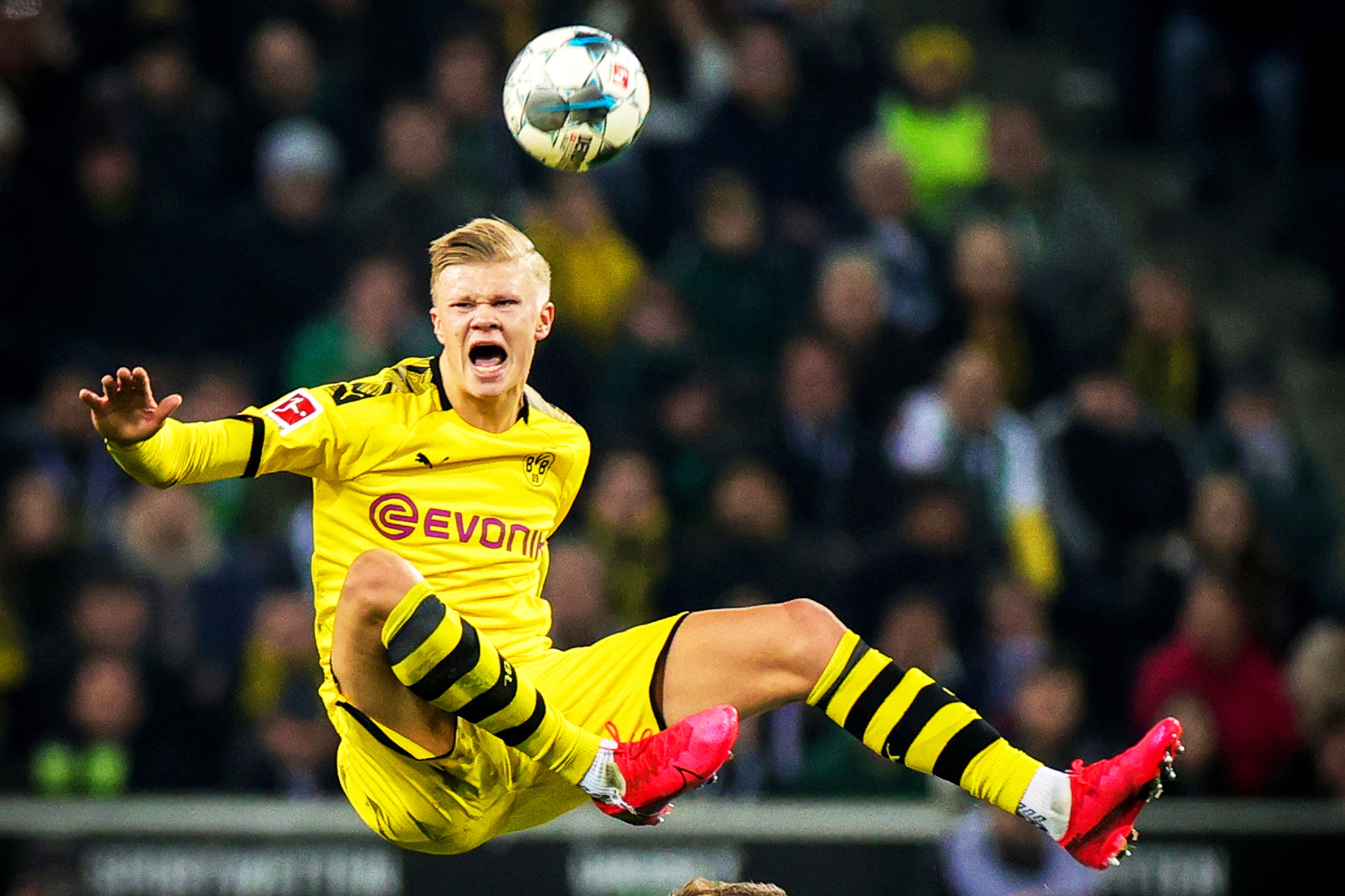 条的强调 条的强调